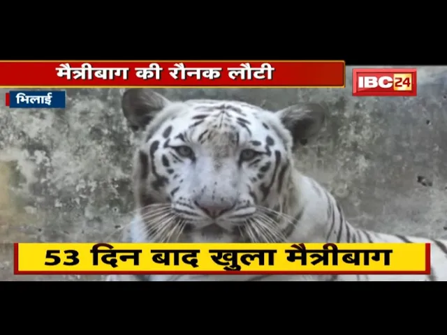 Bhilai : 53 दिन बाद खुला मैत्रीबाग, लौटी रौनक | परिवार के साथ घूमने आए लोग