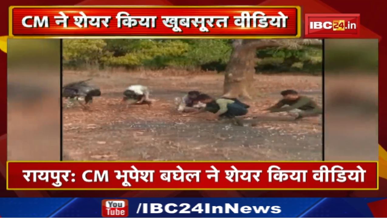 जंगल में महुआ इकट्ठा कर रही थी महिला तभी पहुंच गए जवान | CM Bhupesh Baghel ने Video Share कर कहा…