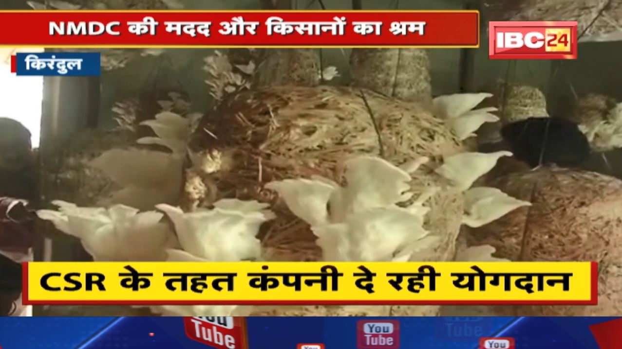 नक्सल प्रभावित इलाके में NMDC की मदद से किसान कर रहे आधुनिक खेती | 12 महीने कमाई से बदला जीवन स्तर