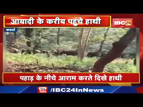 Kawardha Elephant Attack : आबादी के करीब पहुंचे हाथी | पहाड़ के नीचे आराम करते दिखे हाथी