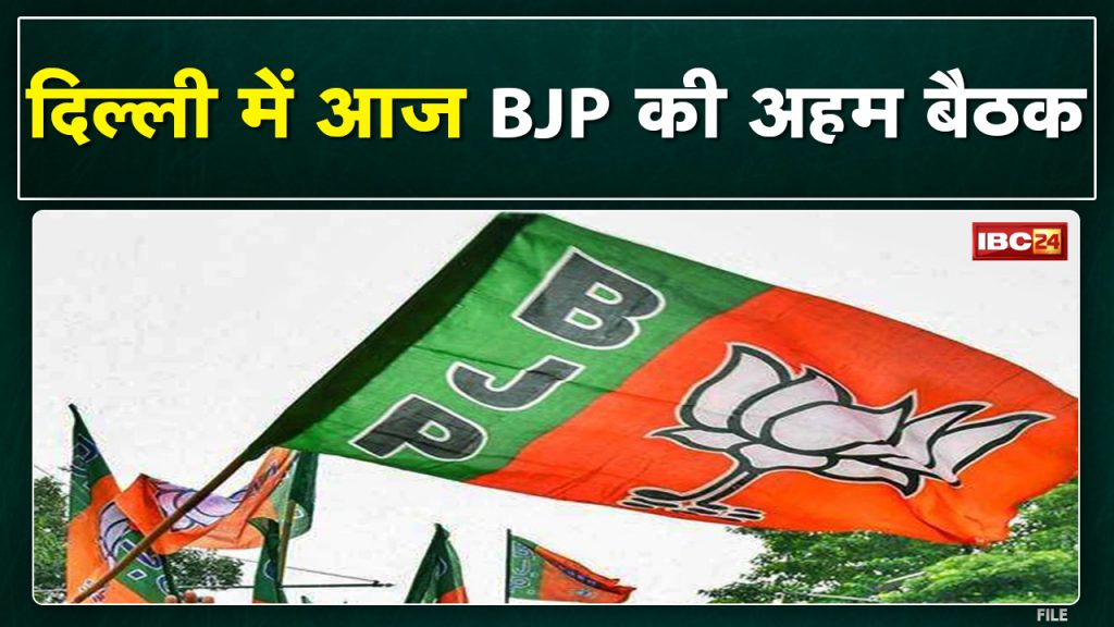 BJP Meeting in Delhi : BJP Meeting in Delhi | Veteran leaders will brainstorm on the preparation of Mission 2023