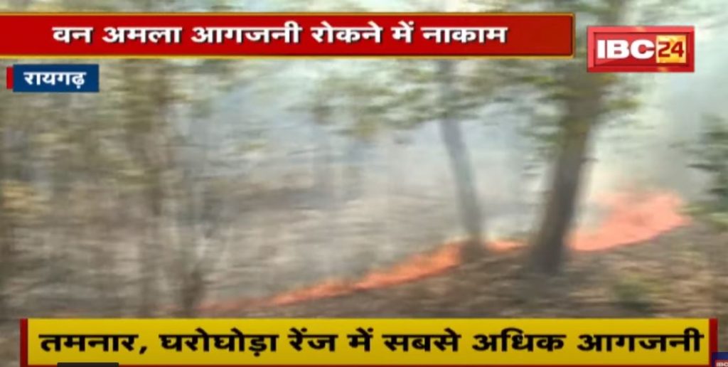 Raigarh: Due to scorching heat, fire is burning in the forests. Forest staff failed to stop the arson