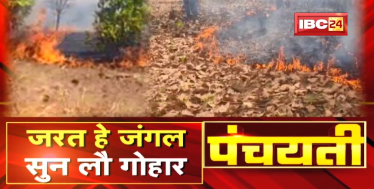 वनकर्मी हड़ताल म कोनो नइ हे देखइया | बाढ़त हे गर्मी..जरत हे जंगल | Fire in Forest | Panchayati