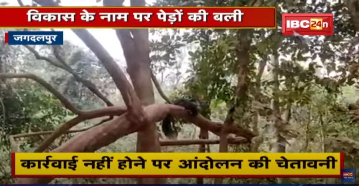 Jagdalpur : विकास के नाम पर पेड़ों की अवैध कटाई | सर्व आदिवासी समाज ने की जांच की मांग