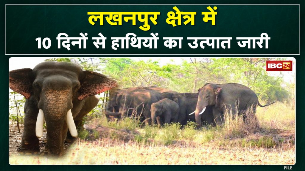 Ambikapur Elephant Attack: Elephants in Lakhanpur area. Damage to houses, crops