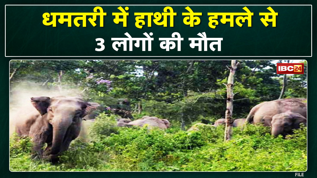 Dhamtari Elephant News : हाथी का उत्पात जारी। हाथी के हमले से 2 दिनों में 3 लोगों की मौत