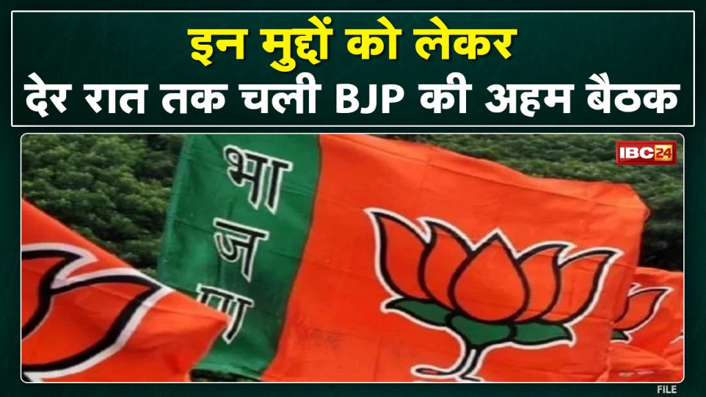 Late night BJP meeting at the residence of V. D. Sharma. Discussion on coordination between organization and government