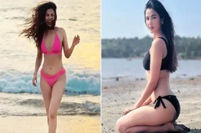 Sonal Chauhan gave a sizzling pose