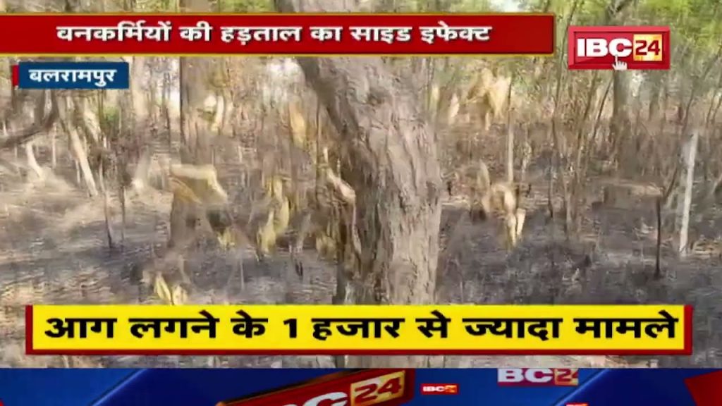 Side effect of strike of forest workers in Balrampur. Heavy damage to forests due to fire