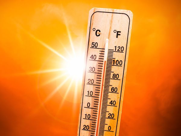 लू की चपेट में 18 जिले.. राज्य में पड़ेगी प्रचंड गर्मी.. इन जिलों के लिए मौसम विभाग ने जारी किया येलो अलर्ट