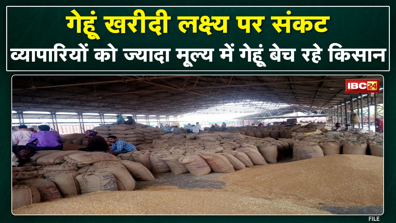 MSP पर गेहूं बेचने में रुचि नहीं ले रहे किसान | व्यापारियों को ज्यादा गेहूं बेच रहे प्रदेश के किसान