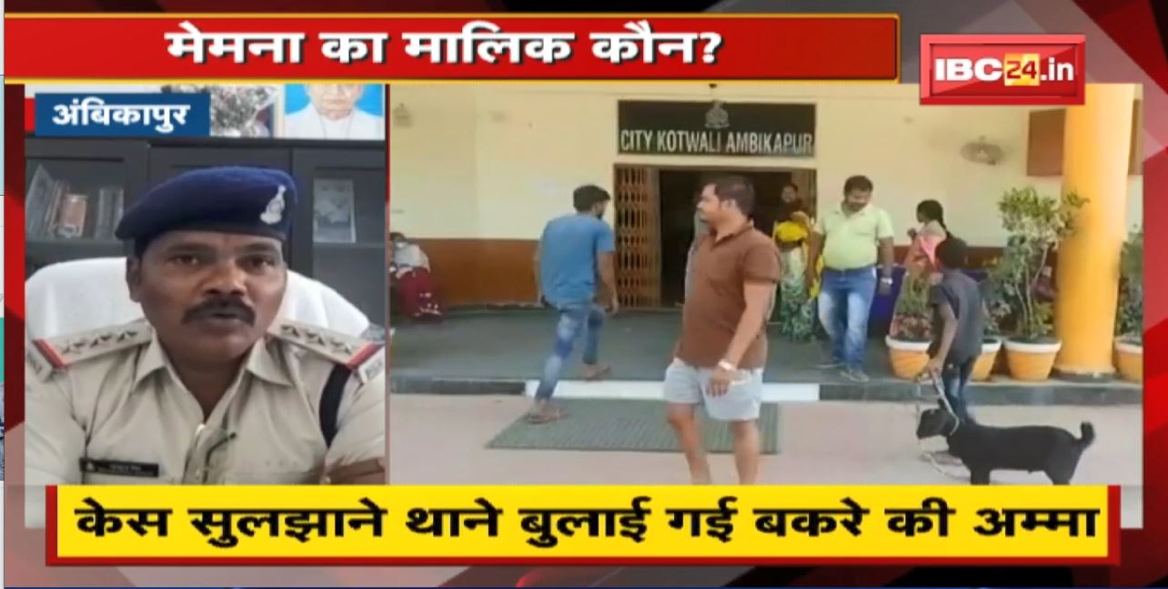 मेमना के लिए दो पक्षों में हुआ विवाद। मेमना का मालिक कौन? केस सुलझाने थाने बुलाई गई बकरे की अम्मा