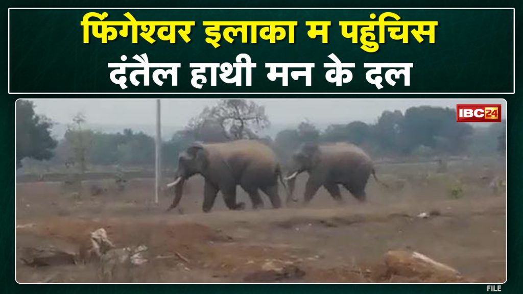 3 Dantail elephant camp in the village adjacent to Fingeshwar. 9 village bar forest department issued alert