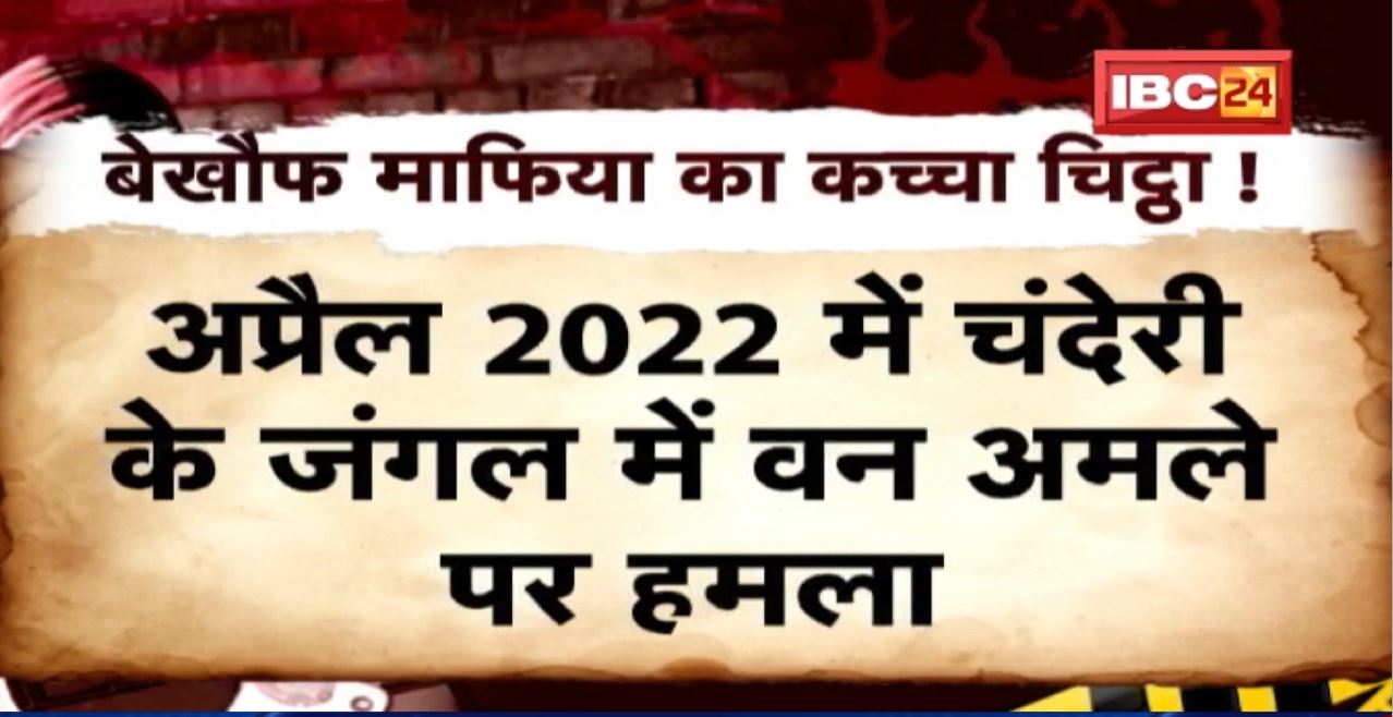बेखौफ माफिया पर एक्शन कब ? जंगल उजाड़ने वालों पर कोई एक्शन नहीं | देखिए पूरी Report