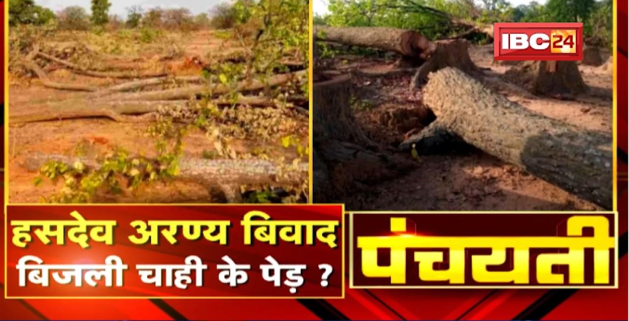 हसदेव अरण्य बिवाद.. बिजली चाही के पेड़? Hasdeo Aranya Coal Mining Controversy | Panchayati