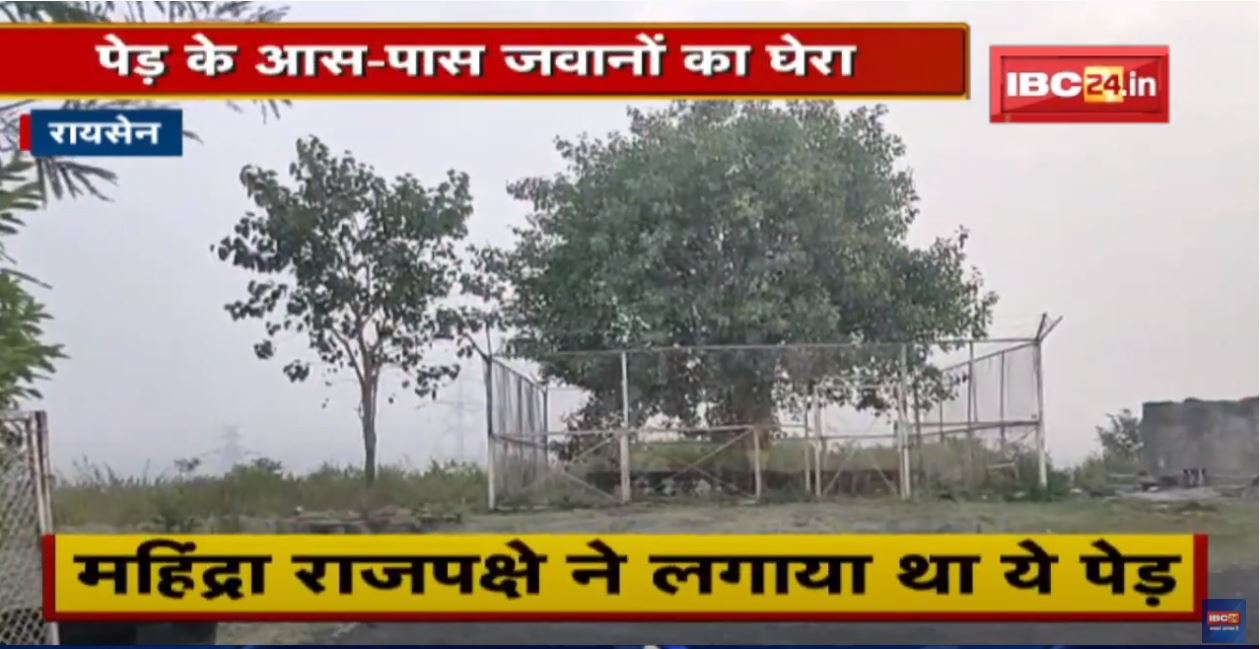 विशेष पेड़ को ‘VIP’ सुरक्षा | पेड़ के आस-पास जवानों का घेरा | देखिए