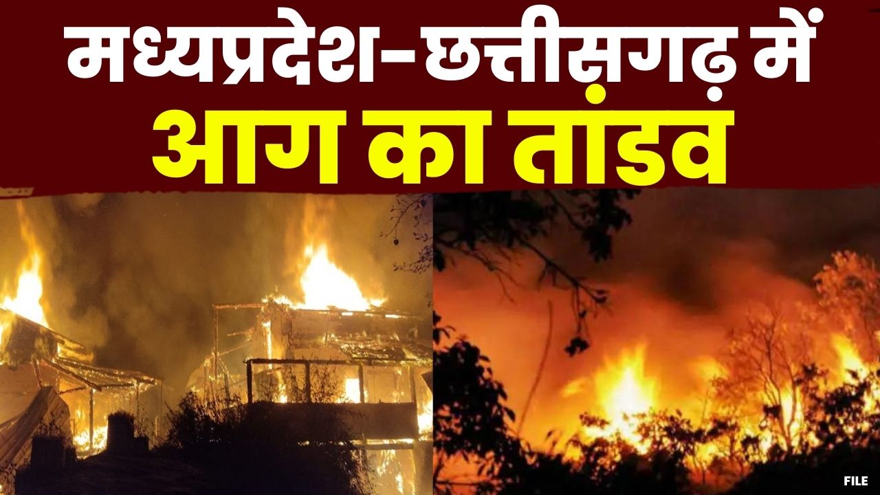 Chhattisgarh – Madhya Pradesh में आग का तांडव : बिलासपुर में जंगल में तो पन्ना में घर में लगी आग….