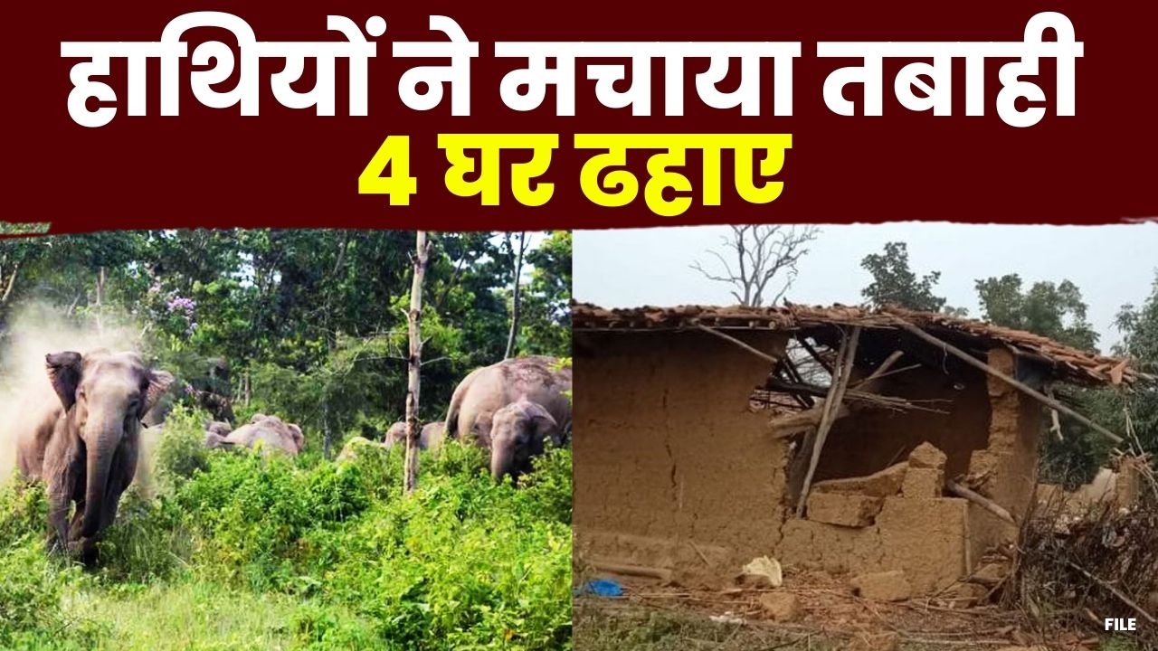 Mainpat Elephant Attack : नहीं थम रहा हाथियों का उत्पात | मैनपाट क्षेत्र में ढहाए 4 घर….