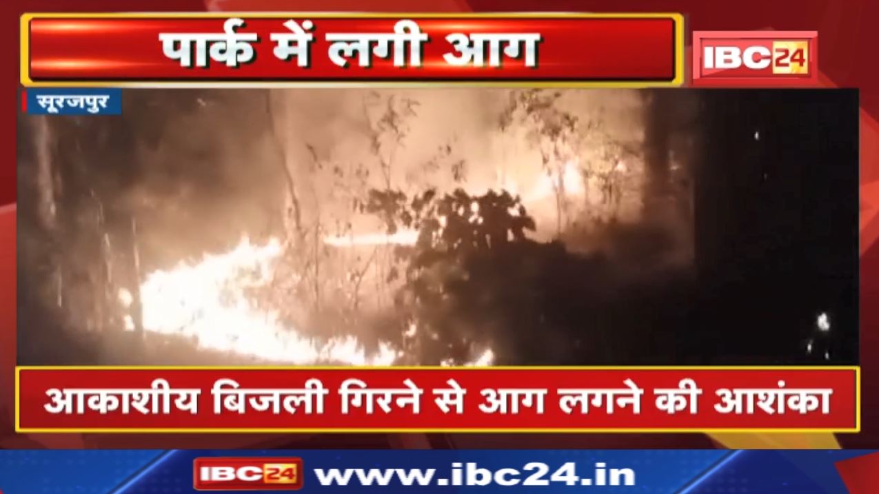 Surajpur Park Fire News : पार्क में लगी आग | आकाशीय बिजली गिरने से आग लगने की आशंका…