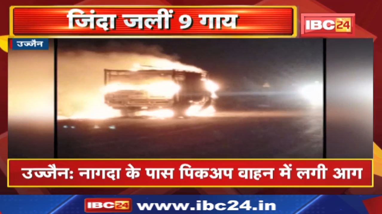 Ujjain News : वाहन में की जा रही थी गौवंश की तस्करी | आग में जलने से 9 गायों की मौत