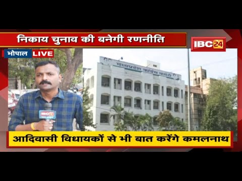 MP Political News : शाम को होगी Congress विधायक दल की बैठक | निकाय चुनाव की रणनीति पर होगा मंथन
