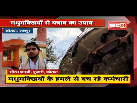 Jashpur के कर्मचारियों ने अपनाया अनोखा उपाय | मधुमक्खियों के हमले से बच रहे कर्मचारी
