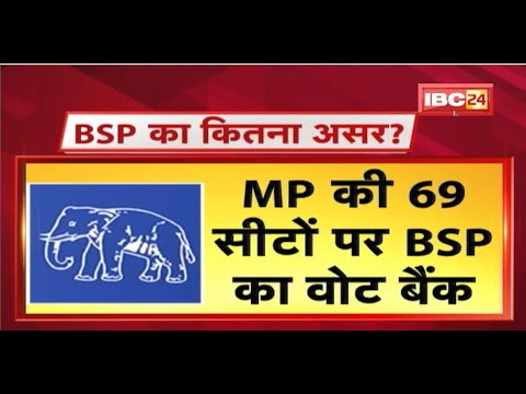 Gwalior-Chambal में BSP का खासा जोर | BSP के Vote Bank पर BJP की नजर | देखिए पूरी Report