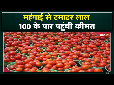 Tomato Price Hike : रेलवे सेवा हुई ठप्प तो बढ़े टमाटरों के भाव | सौ के पार पहुंची कीमत