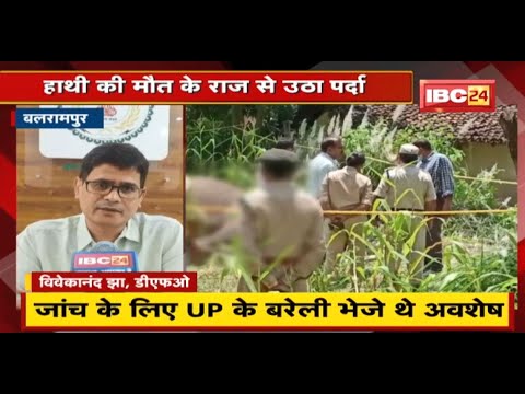 Balrampur : हाथी की मौत के राज से उठा पर्दा | Report में Pneumonia से मौत की पुष्टि