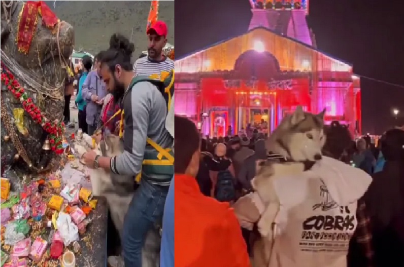Kedarnath temple: कुत्ते को लेकर केदारनाथ मंदिर पहुंचा ये शख्स, जूते पहनकर नंदी बाबा के साथ की ऐसी हरकत, देखें वीडियो