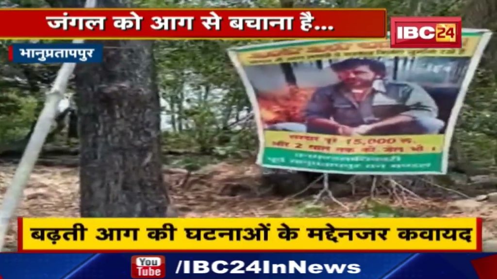 Have to save the forest from fire... Posters with film dialogues put up everywhere in Bhanupratappur