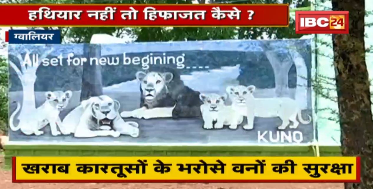 खराब कारतूसों के भरोसे वनों की सुरक्षा। हथियार नहीं तो हिफाजत कैसे। देखिए पूरी Report