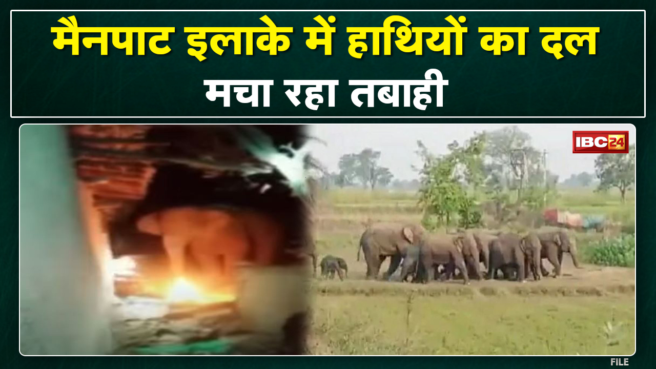 Mainpat Elephant Attack : रिहायशी इलाकों में घुसे हाथी | ग्रामीण दहशत के माहौल में जीने पर मजबूर…