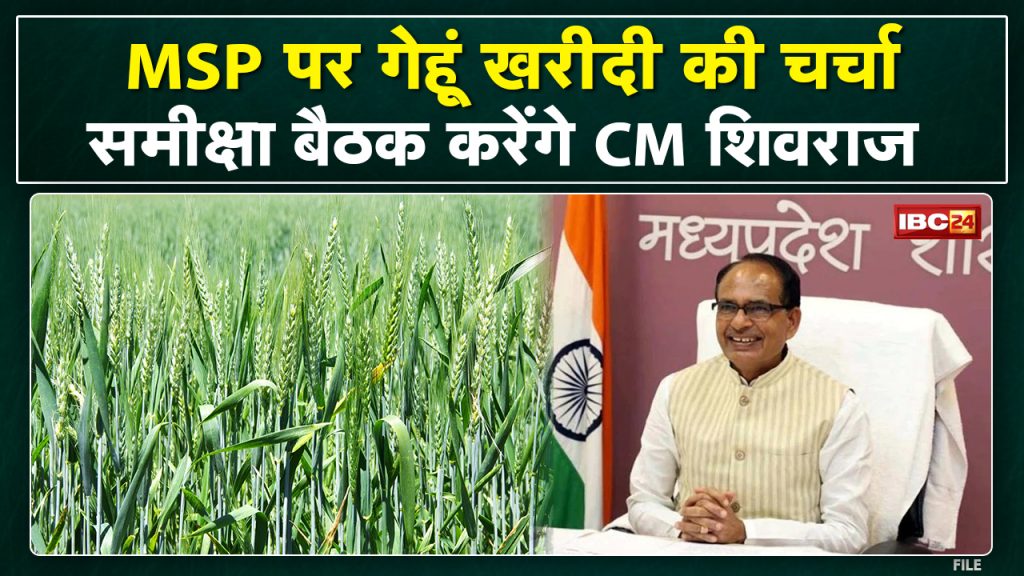 CM Shivraj Singh will hold a review meeting regarding the earnings. Wheat procurement will be discussed at MSP in MP
