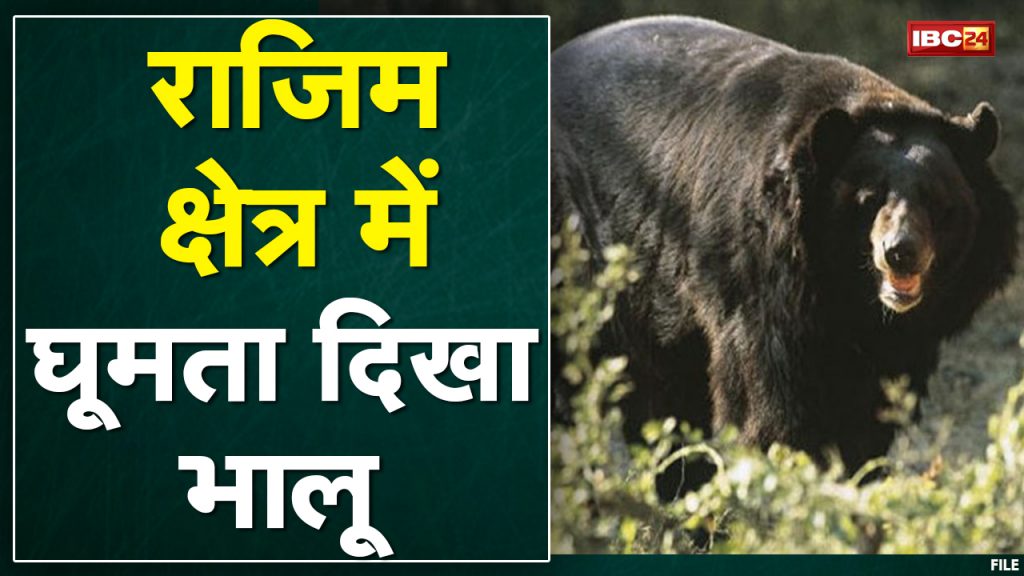 Bear roaming the streets of Taurenga village in Rajim. Forest Department alerted the people
