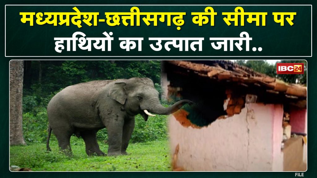 Elephants on the Chhattisgarh - Madhya Pradesh Border | Forest Department has issued advisory...