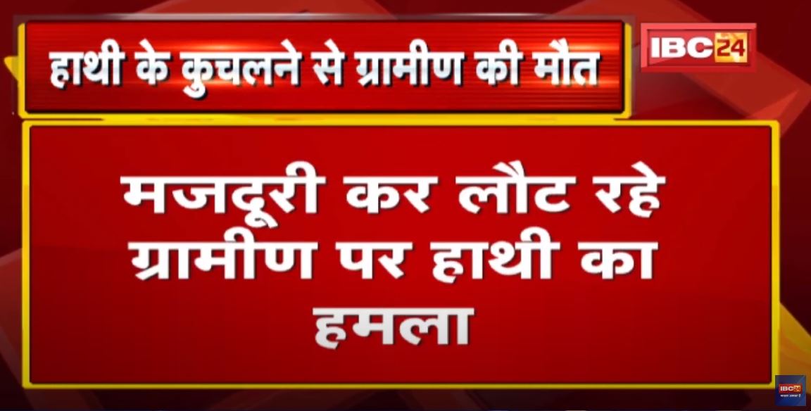 Pendra Elephant Attack : मजदूरी कर लौट रहा था ग्रामीण | हाथी के कुचलने से हो गई मौत, 1 घायल…