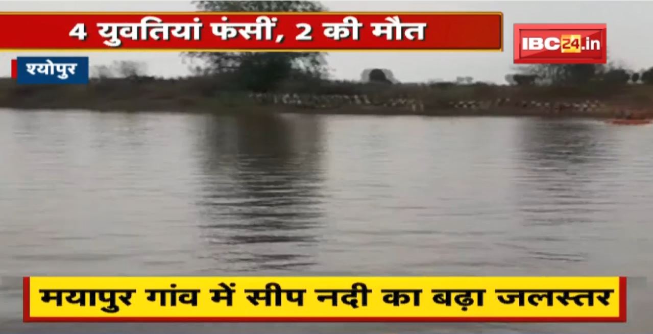 Sheopur News : मयापुर गांव में सीप नदी का बढ़ा जलस्तर। 4 युवतियां फंसीं, 2 की मौत