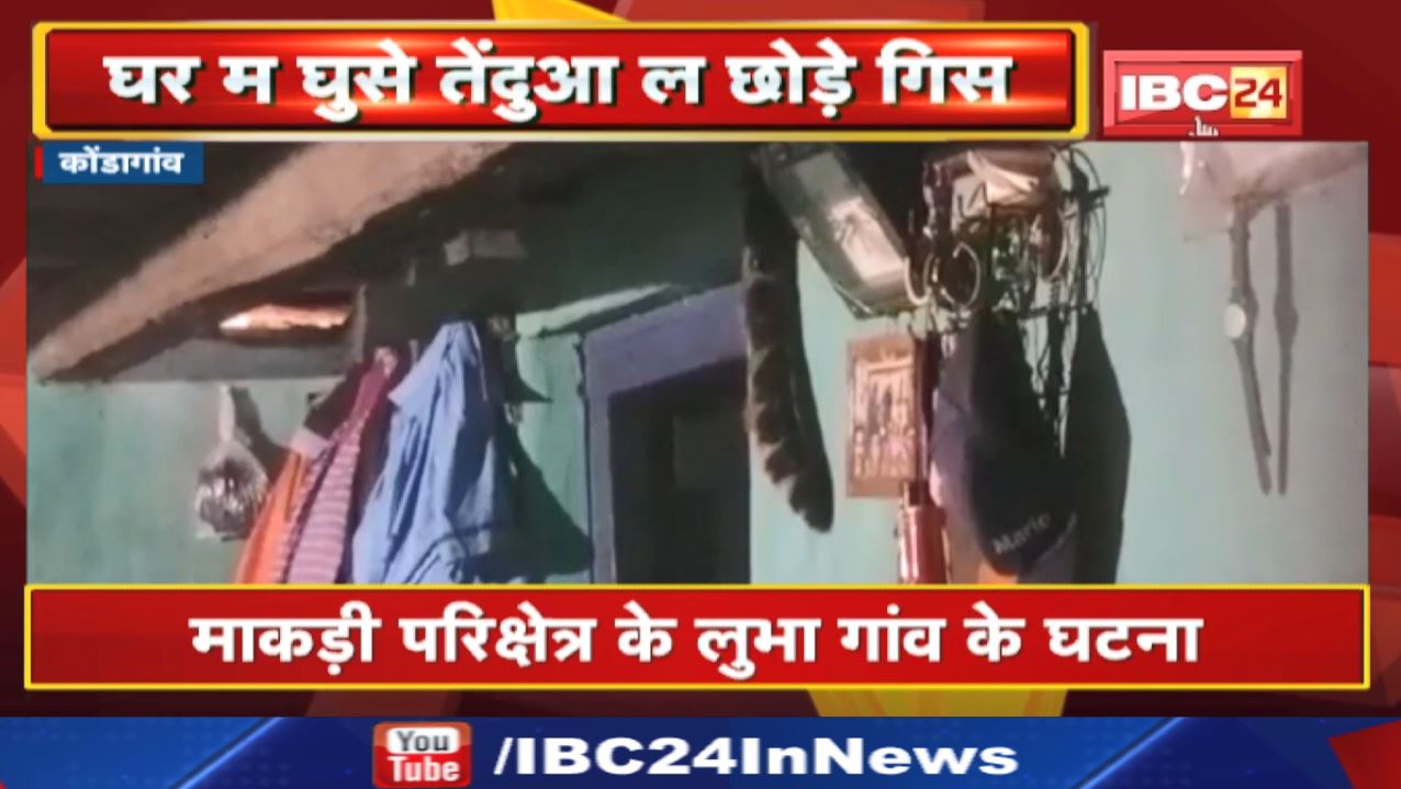 Kondagaon News : घर म बंद करके रखे तेंदुआ ल छोडे़ गिस | माकड़ी परिक्षेत्र के लुभा गांव के घटना…