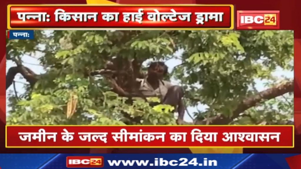 Panna News: The farmer climbed the tree with the noose of hanging. Was upset due to non-demarcation of land.