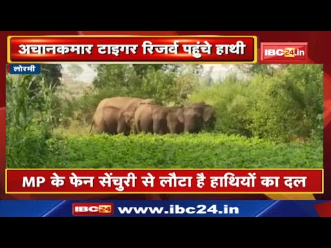 Achanakmar Tiger Reserve : 9 हाथियों का दल पहुंचा अचानकमार टाइगर रिजर्व….
