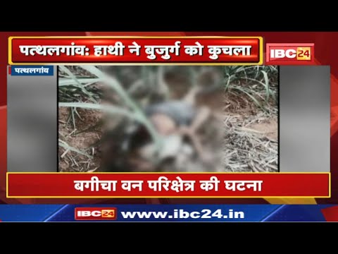 Pathalgaon Elephant Attack : हाथी के कुचलने से बुजुर्ग की मौत | बगीचा वन परिक्षेत्र की घटना…