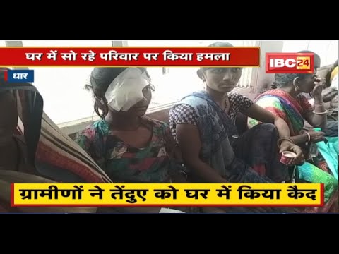 Leopard Attack News : ग्रामीण इलाकों में तेंदुए का आतंक | घर में सो रहे परिवार पर किया हमला