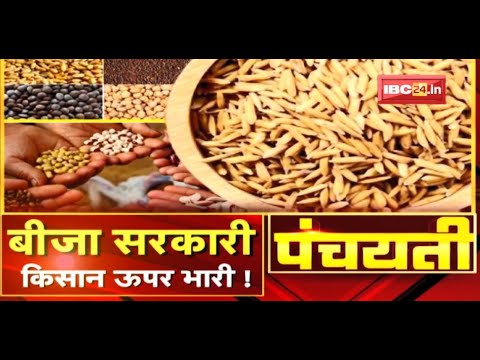 बीजा सरकारी…किसान ऊपर भारी ! प्रमानित बीजा के सत्यता म सवाल | Certified Seed | Panchayati