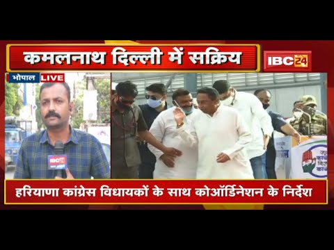 Haryana Congress को Cross Voting का डर | Kamal Nath को दी गई समन्वय की जिम्मेदारी | Political News