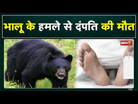 Mandir Darshan करने गए दंपति पर भालू का हमला | दोनो की मौत, शव भी नहीं छोड़ रहा भालू..देखिए वीडियो