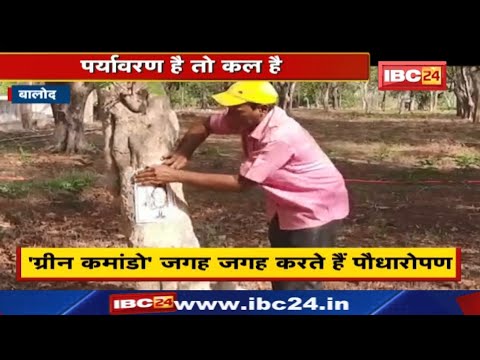 Environment Day Special : पर्यावरण बचाने की मुहिम | पेड़ न कटें…इसलिए चिपका रहे भगवान के फोटो…