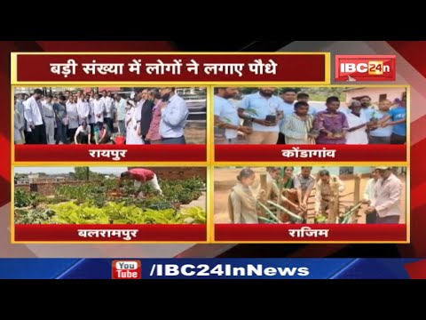 World Environment Day : विश्व पर्यावरण दिवस पर हरियाली का संदेश | बड़ी संख्या में लोगों ने लगाए पौधे