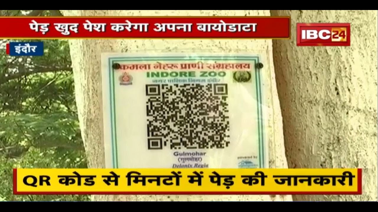 Indore में पेड़ों की हो रही है बार कोडिंग। QR कोड से मिनटों में पेड़ की जानकारी