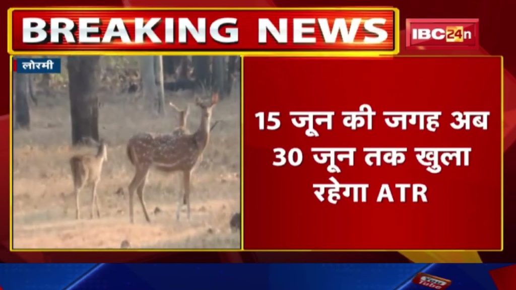 Achanakmar Tiger Reserve: Tourists will be able to enjoy jungle safari till June 30